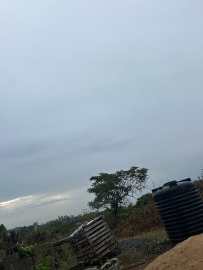 A landscape with a predominantly cloudy sky. A large black water tank is in the upper right corner. Below the tank, a tree stands near a pile of gravel. A wooden pallet leans against a metal frame. Vegetation and the tops of other structures appear in the bottom right. The scene suggests a rural or undeveloped area.