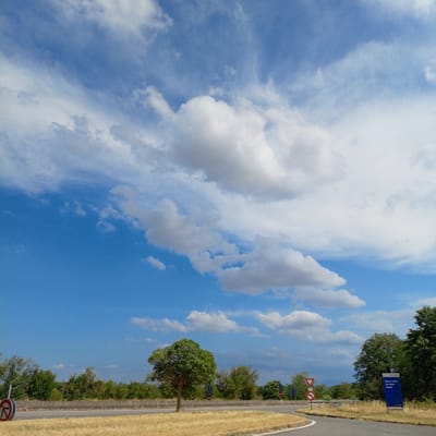 The image depicts a wide, curving road with dry, golden grass bordering it. The road is set against a backdrop of lush green trees and vegetation. The sky above is a vibrant blue, dotted with fluffy white clouds, suggesting a bright and clear day. There are several traffic signs visible along the roadside. To the left, a circular red and white sign indicates a prohibition. Further along, a red and white triangular sign points downwards, likely a warning sign. Another circular red and white sign with a curved arrow is also visible. On the right side of the road, a tall blue sign with white text reads "VINCI Bonne route sur notre réseau." This indicates a highway or toll road managed by VINCI. The lighting and cloud formations suggest it is daytime, possibly late morning or early afternoon. The overall scene is one of a rural or semi-rural road, with a sense of openness and nature. There are no people visible in the image, and no specific activity is taking place, creating a static scene of a landscape and infrastructure. The environment appears dry, which could indicate a warmer season.
