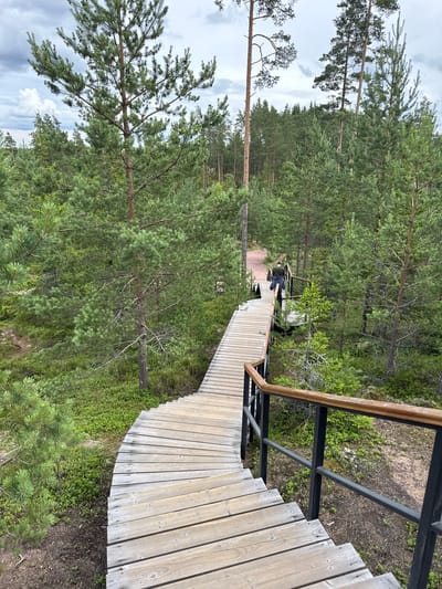 The image shows a wooden boardwalk winding through a pine forest. A person is walking up the boardwalk in the distance. The boardwalk is made of light-colored wood and has black metal railings. The forest is dense with tall pine trees. The ground is covered in pine needles and low-lying vegetation. The sky is cloudy. This scene is located in the city of Peski, Russia.