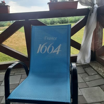 A blue woven plastic lounge chair with black metal armrests is situated on a patio paved with grey interlocking stones. The chair has the word "France" printed in a light script above the number "1664" in a larger, stylized font on its backrest. In the background, a dark wooden railing with diagonal supports encloses the patio. Beyond the railing, a grassy area with sparse trees and a cloudy sky are visible. A white sheer curtain is draped over a wooden beam on the right side of the frame. There is no indication of the city of Dubrivka, Ukraine, in the image.