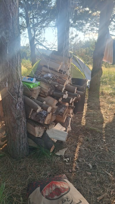 In the rural area of Навасвержанскі сельскі Савет, Belarus, a campsite is set up with a tent and a pile of firewood. The scene is bathed in the warm light of what appears to be late afternoon or early morning sun, casting long shadows. Two large trees frame the view, with strings of fairy lights draped between them and over the firewood. The firewood is neatly stacked, with various sizes of logs. On top of the firewood, two small items are visible: a white bottle and a green box. A bag of charcoal sits on the ground in the foreground. The environment is characterized by dry grass, pine needles, and a few small green plants. The overall impression is one of a peaceful, outdoor gathering or a moment of preparation for a campfire.