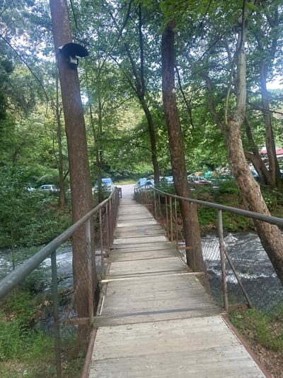 The image depicts a pedestrian bridge in Parvenets, Bulgaria, viewed from an elevated perspective. The bridge is constructed of wooden planks and has metal railings on both sides. A stream or river flows beneath the bridge. The surrounding environment includes trees and vegetation, creating a wooded area. A black light fixture is affixed to a tree on the left side of the image. In the distance, cars and possibly other structures are visible. The overall scene is a natural landscape with man-made elements, showing the intersection of nature and human infrastructure.