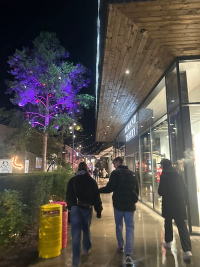 Nighttime scene with people walking on a wet sidewalk in front of shops. A large Christmas tree with purple lights and ornaments is on the left. Strings of lights are hung above the walking area. The shops have awnings and glass fronts, and the name of one shop, "ARMAND THIERRY," is visible. Trash cans are situated near a bush in the foreground. The image appears to be slightly rotated clockwise.