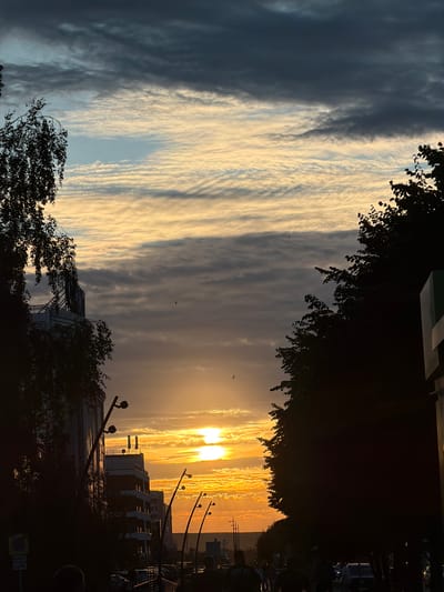 The image captures a sunset over Nizhnekamsk, Russia. The sky is filled with dramatic, layered clouds painted in hues of gold, orange, and dark gray, indicating a dynamic weather system. The sun is low on the horizon, casting a warm, ethereal glow that illuminates some of the clouds while silhouetting the trees and buildings in the foreground and mid-ground.
Silhouettes of trees frame the top and bottom of the image, their dark foliage contrasting with the bright sky. In the mid-ground, modern buildings with multiple stories are visible, their sharp lines softened by the fading light. Streetlights with distinct fixtures stand along what appears to be a street or walkway, adding to the urban setting.
Several small, dark specks in the sky are likely birds in flight, adding a sense of movement to the scene. The overall mood is tranquil and awe-inspiring, characteristic of a beautiful sunset. The time of day is clearly late afternoon or early evening. While no specific event is depicted, the scene suggests a typical urban landscape at the end of the day. No visible text is present in the image.
