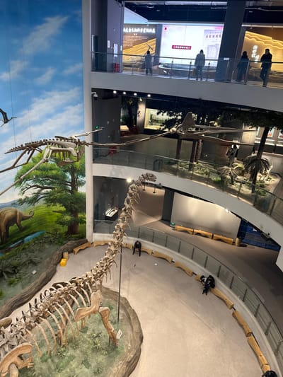 The image showcases a museum interior with dinosaur skeletons. A massive dinosaur skeleton lies on a display platform, with a painted backdrop of a prehistoric landscape. Above, a pterodactyl skeleton is suspended. Glass barriers enclose the display area, with visitors visible on a higher level. Benches line the perimeter of the exhibit. The museum architecture includes a multi-story design with open spaces.