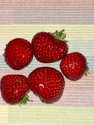 Five ripe strawberries are arranged on a striped cloth. The cloth has horizontal bands of pale yellow and thin red and white stripes. The strawberries are a vibrant red, with visible seeds. Two strawberries are on the bottom row, with one on the left and one on the right. Three strawberries are on the top row, with one on the left, one in the center, and one on the right. The center strawberry in the top row is slightly larger and has a small green stem with leaves. The overall scene is a still life. The image does not contain any identifiable landmarks or elements that would allow for specific location attribution to Åsgårdstrand, Norway.