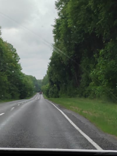 The image shows a view from a vehicle traveling on a wet, asphalt road bordered by dense green trees on both sides. The sky is overcast with gray clouds. The road curves slightly to the left in the foreground and recedes into the distance, where a red vehicle is visible. The scene appears to be a rural or forested area. Based on the location provided, this is likely a road in the Lyshchytsky Rural Council, Belarus.