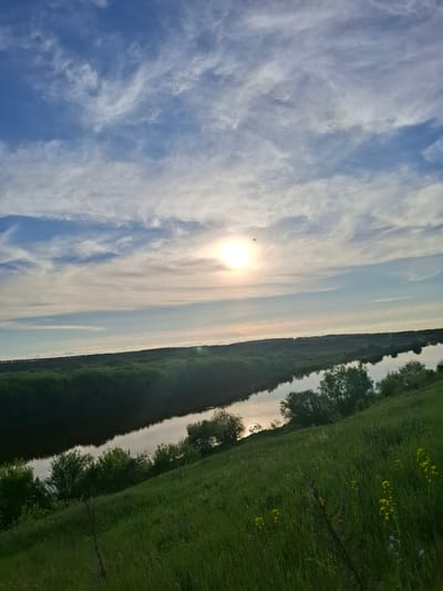 The image depicts a landscape view of the sky, a body of water, and green vegetation. The sky is predominantly blue with wispy white clouds. The sun is visible as a bright, central element in the sky. To the right of the sky is a narrow body of water, bordered by dense green vegetation. In the immediate foreground on the right side, the green vegetation appears as grass with scattered yellow flowers.

The location is Elets-Malanino, Russia.