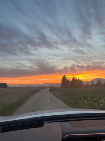 The image displays a rural landscape at either sunrise or sunset, viewed from within a vehicle. The sky transitions from a pale blue-grey with wispy, streaky clouds in the upper portion to an intense gradient of orange, yellow, and red along the horizon. A narrow, dark asphalt road curves gently to the right, extending from the lower-center of the frame into the mid-ground. To the left of the road, a tilled field of dark brown earth is visible. To the right, a field of low-lying green crops extends. A cluster of dark green coniferous trees stands silhouetted against the bright horizon on the right side of the road. In the far distance, a hazy line of mountains or hills is visible, with a faint structure resembling industrial chimneys or towers on the distant left horizon. A small white and yellow road sign is partially visible on the right shoulder of the road. The immediate foreground shows the dark, textured dashboard and a light grey trim of the vehicle. This scene is located in the vicinity of Kintzheim, France.