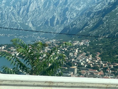 A high-angle shot captures the city of Škaljari, Montenegro, nestled at the base of imposing, rocky mountains. The city, characterized by its densely packed buildings with terracotta roofs and white facades, spills down the hillsides towards a calm, blue body of water. Lush green trees and vegetation are interspersed throughout the urban landscape and climb the lower slopes of the mountains. In the foreground, a white concrete barrier runs horizontally across the bottom of the frame, and a leafy green plant with feathery fronds partially obscures the view of the city and water. A thin black wire stretches across the middle ground of the image, dividing the mountain and city views. The overall scene is bright and sunlit, with a hazy quality suggesting a warm, distant view.