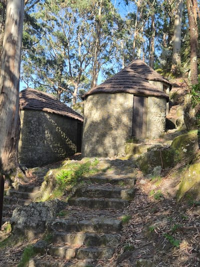 The image depicts two traditional stone granaries, known as "espigueiros," found in Esposende, Portugal. These structures are elevated on stone pillars and feature thatched roofs. One of the espigueiros has a wooden door. The granaries are nestled within a wooded area with tall trees surrounding them. Stone steps lead up to the granaries. Vegetation, including grass and moss, grows on the surrounding rocks and steps.