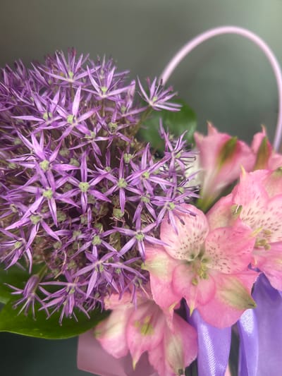 The image is a close-up photograph of a bouquet of flowers. The bouquet features a large, spherical purple allium flower on the left, with delicate, star-shaped petals. To the right of the allium are several pink alstroemeria flowers, with speckled petals and green accents. A light purple ribbon is visible at the bottom right, tied around the stems. The background is a soft, out-of-focus gray-green, suggesting an indoor setting or a muted outdoor environment. No specific location in Шебунино, Russia, can be determined from the image.