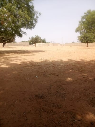 The image depicts an open, unpaved area within the city of Rangaza, Nigeria. The ground consists of reddish-brown earth with sparse debris, including small stones and organic matter, partially covered by the dark, dappled shadows of overhead foliage. Two large, leafy trees frame the scene, one on the left foreground and another on the right midground. A smaller tree stands in the central midground. Two indistinct human figures are visible walking from left to right in the midground. In the background, a continuous line of light-colored, low-rise perimeter walls extends horizontally. A tall, thin pole-like structure rises in the far background, slightly right of center, above the walls. A faint, white rectangular structure, resembling a goalpost, is visible behind the midground tree on the right. The sky is clear and bright, indicating daytime conditions.