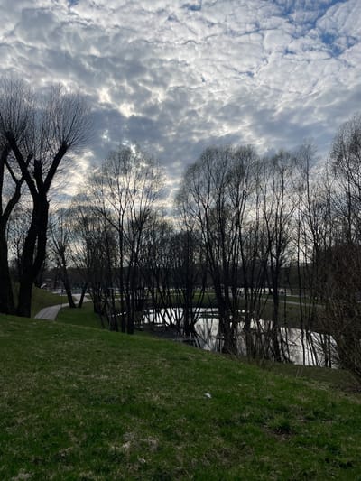The image displays a serene landscape scene, oriented horizontally, likely captured in a park or along a riverbank during early spring. The sky occupies the upper portion, featuring a mix of white and light grey altocumulus or stratocumulus clouds, with glimpses of pale blue sky peeking through. The cloud cover creates a diffused light quality.
A prominent line of bare, deciduous trees, characterized by their intricate, dark branches, extends across the middle ground. These trees appear to be silhouetted against the brighter sky, suggesting the sun is either behind them or hidden by clouds. Their reflections are visible in the calm body of water situated behind them, which appears to be a river or a wide canal.
To the right, a gently sloping grassy bank covered in fresh green grass fills the foreground. A narrow, light-colored path or road runs parallel to the waterline, positioned between the grass and the trees. In the far foreground on the left, a larger, more gnarled tree with bare branches anchors the composition.
No specific human activity or identifiable individuals are visible within the frame. The scene conveys a sense of tranquility. The bare trees and emerging green grass strongly indicate the season is early spring. The time of day appears to be daytime, with soft, ambient light suggesting it could be morning or late afternoon. There is no visible text in the image. Given the context, this scene is located in Fabriki 1 maya, Russia.