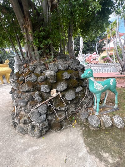 This outdoor image captures a vibrant scene, likely within a garden or temple grounds in Cam Ranh, Vietnam. In the midground and foreground, a rugged, dark rock formation, covered with patches of green moss and intertwined with bare branches and vines, serves as a central feature.
Perched atop this rock formation on the right side is a teal-green statue of a recumbent animal, possibly a deer or a mythical creature, with some of its paint visibly peeling. To the left and slightly behind this statue, a more elaborate and colorful statue of a dragon-like creature, featuring pink, white, and red accents, is partially visible. Further to the left, another golden animal statue, possibly a deer or a dog, is glimpsed at the bottom of the frame.
The left side of the image is dominated by the dense, green foliage and thick trunks of large trees, suggesting a lush environment. In the background, traditional buildings with white and light yellow-orange facades, adorned with ornate white railings and surrounded by palm trees and other greenery, are visible under a bright, clear sky. The ground consists of a concrete path bordering the rock formation. The scene is illuminated by bright daylight, indicating clear weather. No people or visible text are present.