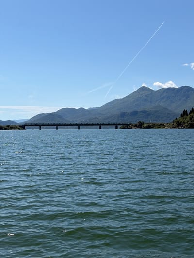 The image depicts a panoramic landscape located in Kruševica, Montenegro, centered on a large body of water, a prominent bridge, and distant mountains under a clear sky.
The sky, occupying the upper portion of the frame, is a uniform light blue. A distinct, thin white contrail from an aircraft extends diagonally from the upper right, curving slightly downwards towards the left horizon. A second, fainter, and more diffused contrail or cloud streak is visible in the upper left quadrant. Several small, white cumulus clouds are present above the mountain peaks on the right side of the frame.
A long, multi-span bridge, dark green or grey in hue, traverses the water horizontally in the middle ground of the scene. The bridge features multiple supporting piers and a visible truss-like superstructure. On the left side, the bridge connects to a low, vegetated shoreline. On the right, the land adjacent to the bridge consists of a rocky bank with dense green vegetation, including several tall, slender trees that appear to be cypresses, ascending a small hill. A road or track is discernible along the base of the mountains on the right, running parallel to the water.
The background is dominated by a range of forested mountains, displaying various shades of green and exhibiting atmospheric haze, particularly on the more distant peaks to the left. The most prominent mountain peak rises towards the upper right of the bridge.
The lower half and foreground of the image are composed of a wide expanse of dark blue-green water. The surface of the water is textured with numerous small ripples and waves, off which sunlight reflects, creating a multitude of sparkling highlights across the liquid surface.
No human figures or animals are visible within the frame. The scene is static, devoid of active interactions, and captured under bright, clear daylight conditions.