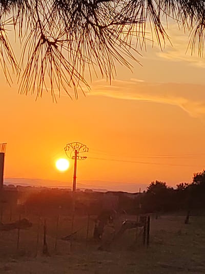 The image captures a sunset over Sobradillo, Spain, with the sun appearing as a bright, luminous orb positioned slightly to the left of the frame's center. The sky is painted in vibrant hues of orange and yellow, with wispy clouds streaking across the upper portion. In the foreground, the silhouette of pine needles hangs from the top of the frame, adding a natural frame to the scene. A power line pole stands prominently in the mid-ground, its structure silhouetted against the bright sky, with wires extending horizontally. The landscape below is rendered in dark tones, with distant hills or mountains visible on the horizon. The lower part of the image shows a fence and some vegetation, also in silhouette. There are no people or animals visible in the scene.