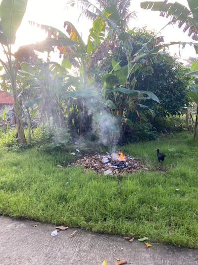The image shows a small fire burning in a grassy area in Kecamatan Piyungan, Indonesia. The fire is located in the middle of the frame, surrounded by green grass and leaves. There is a black bird standing on the grass to the right of the fire. The bird is looking at the camera. The image is taken from a distance, with the fire and the bird in the foreground and dense vegetation in the background. The sun is shining brightly, and there is smoke rising from the fire. The fire appears to be burning a pile of trash and debris. The image was likely taken in the late afternoon or early evening. The location is a residential area with a paved road on the bottom of the frame. There is a partial view of a small concrete structure on the left side of the frame, which might be a wall or fence. There are no other people in the image.
