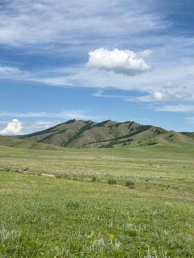 This media file depicts a picturesque, rolling landscape under a partly cloudy sky. The scene is dominated by a large, verdant hill with visible striations suggesting terracing or natural erosion patterns. Darker green patches, likely trees or denser vegetation, are scattered along the slopes of the hill. To the right of the hill, a vast field of green grass stretches into the distance, appearing somewhat manicured in some areas and wilder in others. The sky is a vibrant blue, streaked with wispy white clouds, suggesting a fair weather day. A prominent, puffy white cloud is visible in the upper left quadrant. The image is oriented vertically, with the sky at the top and the landscape filling the lower portion. There are no people or man-made objects clearly visible, aside from what might be implied by the patterns on the hill. The overall impression is one of natural beauty and tranquility. The time of day appears to be daytime, likely late morning or afternoon, given the brightness of the light and the nature of the clouds. The location cues, such as the rolling hills and vast grasslands, are consistent with rural or wilderness settings. The image conveys a sense of peace and openness.