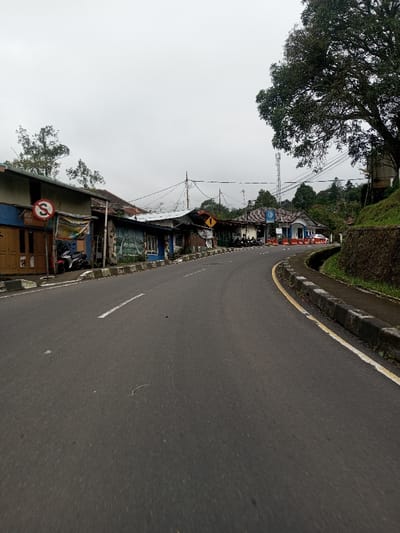 An asphalt road curves gently to the right under an overcast grey sky in Bangtsho, Bhutan. On the left side of the road, a row of one-story buildings includes a structure with a light brown wooden door and blue upper facade, displaying a circular red "No Stopping" sign. A dark-colored motorcycle is parked partially visible nearby. Adjacent to this, another building features a mural of trees on its blue wall. Further down the road on the left, a yellow triangular sign with a black arrow points right. Several other motorcycles are parked along the street in front of the buildings. In the mid-ground on the left, a white building with blue trim and a blue circular logo stands behind orange traffic barriers, with a white car partially visible beyond them. Overhead, multiple utility poles support numerous power lines. The left edge of the road is defined by a dark grey concrete curb. On the right side of the road, a concrete curb with a solid yellow line borders a narrow drainage ditch. Beyond the ditch, a low retaining wall supports an elevated, vegetated slope. A large tree with dense green foliage occupies the upper right foreground, and a tall white cellular tower is visible in the distance on the hillside. The road surface in the foreground shows a solid white line on its left, which transitions to a dashed white line further along the curve. No individuals are visible.