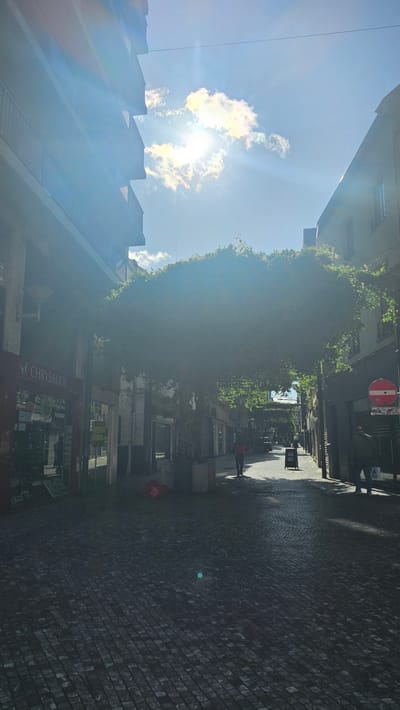 The image depicts a sun-drenched street in Charleroi, Belgium. The street is paved with cobblestones, and buildings line both sides. A large tree, with its branches trained to form a canopy, arches over the middle of the street. Sunlight streams through the leaves, creating a dappled effect on the ground. Several people are visible walking in the street. On the left, a storefront with the name "CHRYSAUDE" is visible. A red bag or cloth lies on the cobblestones near the storefront. On the right side of the street, a red and white circular sign with a horizontal bar is mounted on a pole. The sky is bright blue with some scattered white clouds.