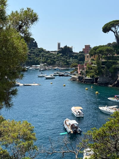 The image captures a scenic view of a harbor in Portofino, Italy. Several boats, including motorboats and sailboats, are anchored in the clear blue water. Some of these boats appear to have people on board, enjoying a leisurely day on the water. A small wooden dock is visible with a kayak or paddleboard.
The scene is set against a backdrop of lush green hillsides dotted with buildings, suggesting a Mediterranean coastal town. The architecture visible, with its warm-toned facades, is characteristic of Italian Riviera style. The clear sky indicates fair weather, and the bright sunlight suggests it is daytime, likely late morning or early afternoon. The overall atmosphere is one of tranquility and relaxation, with the gentle lapping of waves and the serene presence of the boats contributing to a peaceful ambiance. The vantage point suggests the photo was taken from an elevated position, possibly a balcony or a hillside path, offering a panoramic view of the harbor and the surrounding landscape. Some trees, with their dense green foliage and a few bare branches, frame the lower part of the image, adding depth to the scene.
