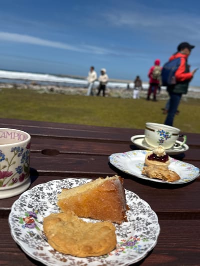 The scene depicts an outdoor setting at Bluff Cove, Falkland Islands (Islas Malvinas), on a clear, sunny day. In the immediate foreground, a dark brown wooden picnic table occupies the lower half of the frame. On the table, from left to right, are several items for a tea or coffee service.
On the left, a white ceramic mug with a detailed floral pattern featuring blue forget-me-nots and other flowers has the word "CHAMPION" partially visible in red lettering on its rim. To the right and slightly forward of the mug, a small, scalloped-edge plate with a monochrome floral pattern holds a slice of light golden-yellow cake with a glistening top and a light brown, irregularly shaped biscuit that appears partially consumed.
Further to the right on the table, another similar floral-patterned plate presents a scone topped with dark red jam and a dollop of white cream, alongside a second light brown biscuit. Behind this plate, a delicate white teacup with a blue floral motif and a green handle rests on a matching saucer, containing a liquid.
Beyond the table, a strip of vibrant green grass extends towards the background. Several blurred human figures are visible on this grassy area and near the shoreline. From left to right: two individuals in light-colored outerwear stand near the water's edge. Further right, another individual in dark attire is present. To their right, a person in a bright pink jacket with a backpack stands. In the far right mid-ground, a person partially visible and in motion wears an orange and dark green jacket, a dark cap, a dark blue backpack, and holds a dark object in their right hand.
The background features a light-colored, possibly pebbled or sandy beach bordering the ocean, where white waves are distinctly breaking. Above the horizon, a clear blue sky with minimal white cloud streaks is visible.