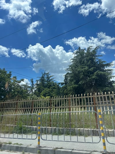 The image captures a view of trees and a fence against a bright blue sky dotted with white clouds. In the foreground, a grey metal fence with yellow and grey striped posts separates a paved sidewalk from an area with tall, dry grass and a taller, more rustic metal fence. Behind the fences, various trees are visible, including several large, dark green conifer trees. Power lines are strung across the sky. The scene suggests an outdoor environment, possibly on the outskirts of a town, given the mix of urban infrastructure elements like the sidewalk and fences with natural elements like trees and sky. The overall impression is of a sunny day.
