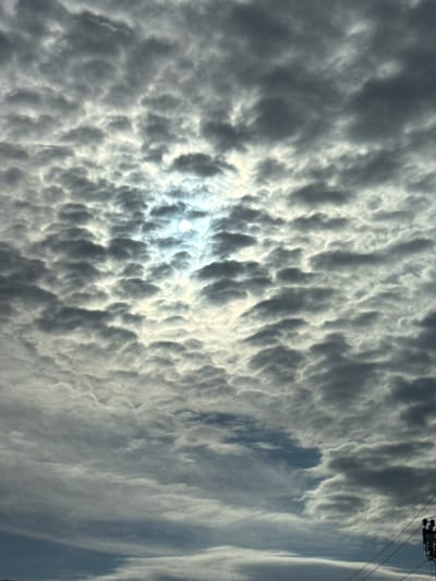 The image displays a dramatic, heavily clouded sky, captured from a ground-level perspective. The scene is dominated by a dense formation of textured, undulating clouds, which appear in various shades of grey, dark grey, and bright white. These formations strongly resemble mammatus clouds or very turbulent stratocumulus, characterized by their distinct, pouch-like or bulbous structures hanging from the cloud base.
A brilliant, diffused light source, likely the sun, is partially visible through a thinner area of the clouds in the upper-left portion of the frame. This intense backlight illuminates the edges of the surrounding clouds, creating bright highlights and emphasizing their three-dimensional, lumpy forms.
In the upper-right corner of the image, elements of human infrastructure are present: a section of a utility pole or power line, with dark equipment and thin wires extending across a lighter patch of sky. This detail confirms the terrestrial setting.
The weather depicted is overcast and atmospheric, suggesting conditions of significant cloud cover, possibly preceding or following a storm. The strong, direct light indicates it is daytime. No people, other specific objects, or activities are visible, and there is no discernible text. The photograph captures a striking natural phenomenon, presumably in Горный, Russia.