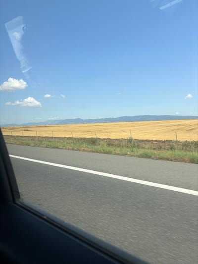 The image depicts a landscape scene, likely taken from a moving vehicle, as indicated by the blurred motion of the road in the foreground and the view through a car window. The scene features a vast, golden-colored field, possibly harvested wheat or barley, stretching towards a range of distant, hazy mountains under a clear blue sky with scattered white clouds. A dark line of vegetation and a simple fence run along the edge of the field. The overall impression is one of rural tranquility and open space. There is a reflection of what appears to be a bottle and clouds in the upper left quadrant of the sky, likely from the car's window. The image is not specific to the city of Nedyalsko, Bulgaria, or any other identifiable urban location, and no people or specific actions are visible.