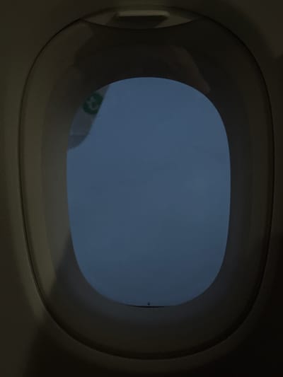 The image captures a view from inside a dark, possibly metallic or plastic, ovular window, likely from an airplane or vehicle. The window frames a uniformly dark blue or grayish-blue sky, indicating either nighttime, late dusk, or very early dawn. The interior of the window frame shows some subtle reflections. In the lower-left corner, an indistinct green and white object is partially visible outside the window. It appears to be a blurry logo or marking on an external structure, with a rounded green shape against a white background, containing a faint, ambiguous letter-like form. No other specific objects or figures are discernible in the sky or outside. The overall scene suggests a quiet, low-light moment, potentially during travel. Given the location context of Paray-Vieille-Poste, France, this view is consistent with being near or at Orly Airport.
