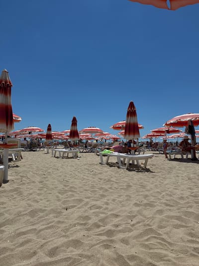 The image depicts a crowded beach scene on a sunny day. Numerous beach umbrellas with red and white stripes are set up, providing shade over rows of empty and occupied lounge chairs. People are seen relaxing on the chairs, some appearing to be sunbathing or reading. A few individuals are standing and walking amongst the umbrellas and chairs. The beach is covered in sand, with subtle ripples indicating wind or foot traffic. The sky is clear and blue. The location is identified as a beach in the city of Obrochishte, Bulgaria, likely a popular tourist destination during the summer season.