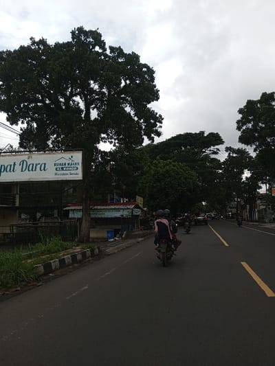 This image displays a daytime street scene in Vaatharawattai, Sri Lanka, under an overcast sky. A two-lane asphalt road, marked with a solid yellow centerline and a broken white line in the right lane, recedes into the distance. On the left side of the road, a black and white striped curb separates the roadway from a narrow strip of grass and foliage. A prominent white billboard, partially visible, features dark green text reading "Rumah Makan Hj. Momoh" and "Masakan Sunda," with "Tempat Dara" also visible. Below the billboard, a small stall with a green canopy stands next to a blue cylindrical trash receptacle. A dark metal fence is present along this side. One individual is partially visible near the stall.
In the mid-foreground on the road, a motorcycle travels away from the viewer, carrying three individuals: a driver wearing a dark helmet, a rear passenger also wearing a dark helmet, and a child positioned between them, draped in a light pink textile. Further down the road, additional vehicles including at least two more motorcycles and a dark-colored car are visible, also moving away. Both sides of the road are lined with dense, dark green trees under the uniformly gray, cloudy sky.
