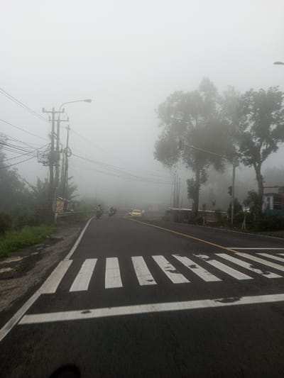 A foggy road with a pedestrian crossing in the foreground. A yellow car and a few motorcycles are seen in the distance. Trees and utility poles line the side of the road, fading into the heavy fog. Visibility is poor, obscuring details of the surrounding environment. The road is asphalt with white painted stripes marking the crossing.