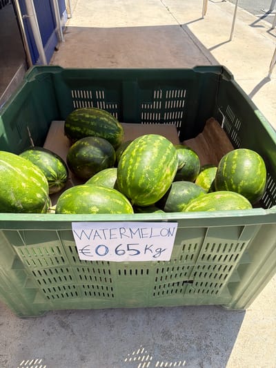 A large green plastic crate overflowing with watermelons is positioned on a sidewalk in Paphos Municipality, Cyprus. The crate is filled with numerous green watermelons, varying in size and shape, some showing distinct dark green stripes. A white sign is attached to the front of the crate, displaying handwritten text in blue ink that reads "WATERMELON €0.65 Kg". The background shows a concrete sidewalk and a building with blue vertical siding, partially obscured by white posts and some vegetation. The lighting suggests it is daytime, with shadows cast on the ground.