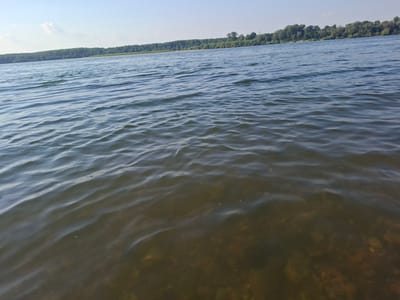 The image depicts a wide expanse of calm river water, likely the Danube River, near the city of Oryahovo, Bulgaria. The water is a deep blue-green and shows gentle ripples across its surface, indicating minimal wind activity. The riverbed is visible through the clear water in the foreground, revealing submerged stones and pebbles. In the distance, a dense line of lush green trees forms a natural treeline along the riverbank, suggesting a vegetated and possibly undeveloped shoreline. The sky above is a pale blue with a few wispy clouds, typical of a clear day. No people, boats, or man-made structures are present in the visible area of the scene, emphasizing a natural, tranquil environment.