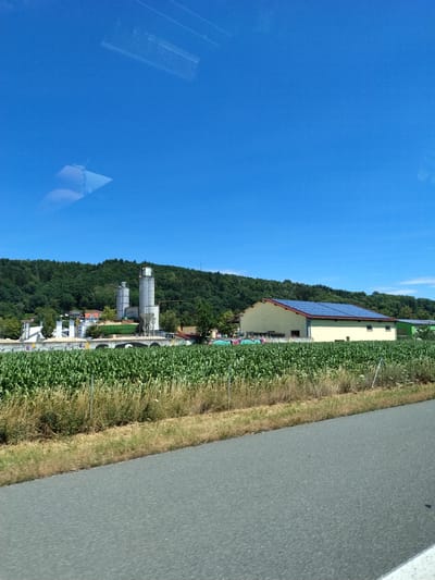 This is a horizontal, eye-level, medium shot of a rural industrial area on a clear day. In the foreground, a paved road runs diagonally from the bottom right towards the bottom left. Beyond the road is a field of tall, green corn stalks, with dry, yellow grass and a few metal fence posts along the edge. In the middle ground, a cluster of industrial buildings is visible. Two tall, silver silos stand prominently, along with several smaller, lighter-colored structures. One of the buildings has a bright yellow facade and a red-tiled roof covered with solar panels. A green structure, possibly a large hopper or container, is situated between two of the buildings. Behind the industrial buildings, a lush, green forest covers a hillside. The sky is a clear, vibrant blue with faint reflections visible on what appears to be a window. This scene is located in Wörth an der Donau, Germany. There are no people or animals visible in the image.