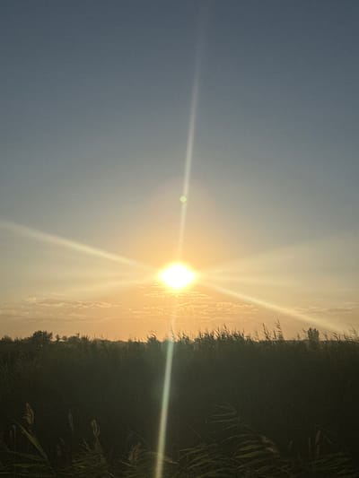 This media file depicts a natural outdoor scene. The primary subjects are the sun and vegetation. The sun is prominently featured, emitting strong rays and creating a lens flare. The sky is a gradient of light blue to warm yellow, suggesting it is either sunrise or sunset.
The foreground is dominated by a dense line of dark green vegetation, possibly reeds or tall grass, which runs along the right side of the frame. The vegetation is silhouetted against the bright sky and sun. Some feathery seed heads are visible within the vegetation, adding texture and detail.
The overall scene conveys a sense of natural beauty and tranquility, characteristic of a rural or wilderness setting. The lighting suggests a specific time of day, either early morning or late afternoon, and the clear sky indicates fair weather. No people, objects, or text are visible in the image. Based on the provided location context of Batash, Uzbekistan, the scene could represent a landscape in that region, possibly near a body of water where reeds commonly grow.