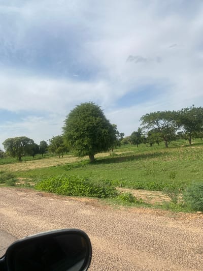 The image depicts a rural landscape, likely a field or agricultural area, under a partly cloudy sky. A dirt road, with a visible car side mirror in the foreground, runs along the left side of the frame. Beyond the road, a green field stretches out, dotted with various trees of different sizes and foliage densities. Some trees are large and mature with full canopies, while others are smaller and more sparse. The terrain appears somewhat uneven, with patches of bare soil visible amidst the greenery, suggesting cultivation. The overall impression is one of a tranquil, natural setting in a rural area, possibly on the outskirts of Utai, Nigeria, given the typical landscape of the region. There are no people visible in the image.