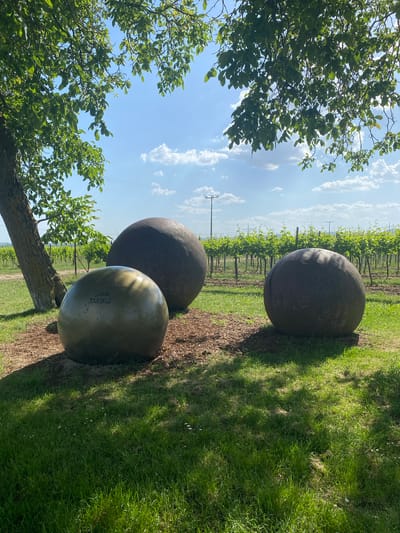 The image shows three large, round sculptures in a grassy area, seemingly part of a vineyard in Landau in der Pfalz, Germany. The sculpture in the foreground appears metallic with a light sheen, while the other two appear to be made of a darker, possibly weathered material. Trees with green foliage are visible in the foreground, partially obscuring the sculptures and the sky. A vineyard with rows of grapevines stretches into the background, with power lines visible in the distance. The sky is blue with scattered white clouds. The photograph is taken at an angle, with the top of the image showing the sky and the ground in the bottom.
