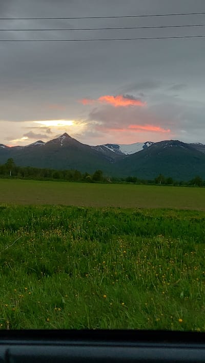 The image depicts a mountainous landscape with a field in the foreground under a cloudy sky. The mountains in the background are partially covered in snow, and the sky is illuminated by an orange sunset. A line of trees separates the field from the mountains. The field itself is lush green with scattered yellow wildflowers. The bottom of the image shows a dark, blurry area, possibly a car interior or frame, suggesting the photo was taken from a vehicle. The scene is devoid of any people or immediate activity. The location in Lesnoi, Russia is not discernable from the visual content of the image alone.