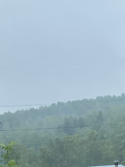 The image captures a misty, overcast day with a blurred landscape. A dense forest covers a hillside, with layers of trees appearing muted and indistinct due to the fog. Two horizontal power lines are visible stretching across the frame, one positioned higher and closer to the top of the hill, and another lower down, closer to the foreground. In the very bottom right corner, a section of a blue roof with a small chimney is visible, suggesting a human-made structure within the natural environment. The overall atmosphere is subdued, with soft, diffused light and a limited color palette dominated by greens and grays. The scene appears to be set in a natural, possibly rural or semi-rural area, given the prominent forest and power lines.