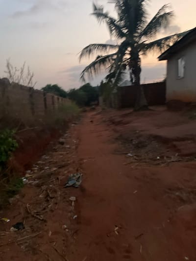 A sandy, dirt path runs alongside a small, weathered building and a fence obscured by vegetation. Litter is scattered along the path. A tall palm tree leans over the building, its fronds swaying in the breeze. The sky is dusky, suggesting either dawn or dusk. The scene appears to be in a rural or tropical setting.