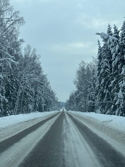 A snow-covered road stretches into the distance, flanked by snow-laden trees. The sky is overcast and grey. Snow clings to the branches of the trees, creating a dense, wintry forest on either side of the road. The road surface is partially cleared, revealing dark tracks where vehicles have passed. The overall scene is monochromatic, dominated by shades of white and grey, conveying a sense of cold and stillness.