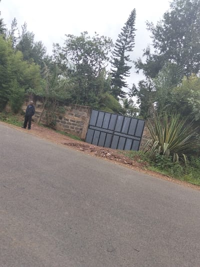 The image depicts an outdoor scene in Nyansiongo ward, Kenya, under an overcast sky. A single individual, an adult male, stands on the left side of a paved asphalt road. He is dressed in a dark jacket with a white collar visible beneath, and dark trousers. He faces generally towards the right of the frame, positioned on a dirt shoulder next to a low, unrendered block wall. To the right of the wall section, a closed dark grey or black metal double gate is visible, featuring vertical panels within its frame. Behind the wall and gate, dense green vegetation dominates the background, including various trees and shrubs. A tall, slender coniferous tree is prominent against the sky in the upper right. Immediately to the right of the gate, a large, spiky succulent plant with variegated green and yellow leaves grows on the roadside. The paved road occupies the lower left portion of the frame and slopes upwards slightly to the right. No specific actions or interactions are observed from the individual.