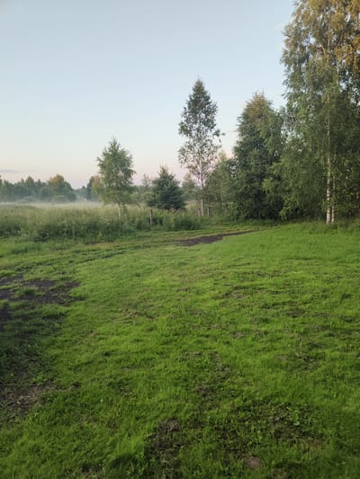 The image depicts a tranquil rural landscape at dawn or dusk. The foreground is a lush green meadow, with a dirt path winding through it. Beyond the meadow, a dense line of trees forms the middle ground, with a notable birch tree standing out on the right. A light mist hovers over the distant treeline, suggesting a cool, humid atmosphere typical of early morning or late evening. The sky is a soft, pale blue, with hints of pink and orange, indicating either sunrise or sunset. The scene is natural and serene, evoking a sense of peace and quiet. No people or specific objects are visible, besides the natural elements and the path. The location is identified as Talitsa, Russia, which aligns with the imagery of a temperate, forested rural environment. The overall mood is calm and undisturbed.