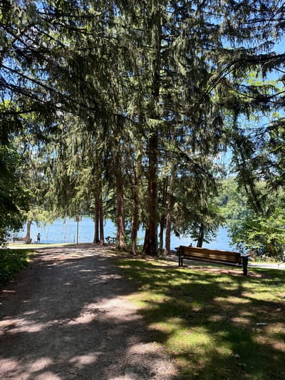 An outdoor scene depicts a pathway leading towards a tranquil body of water, likely a lake or river, bordered by lush green trees and grass. Tall evergreen trees with dense, drooping branches dominate the foreground, casting dappled shadows across the gravel path and the adjacent lawn. A wooden park bench with a slatted seat and back rests on the grass to the right, facing the water. In the distance, near the water's edge, a single individual is standing, looking out at the water. Another person can be seen sitting on a bench further to the left. The water itself is a vibrant blue, reflecting the clear sky above, and the far shore is lined with more trees and greenery. The overall impression is one of a serene park setting, ideal for relaxation and enjoying nature.