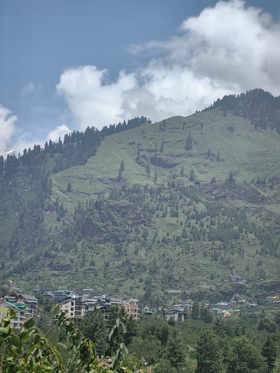 The image shows a valley in the city of Kullu, India, with a lush green mountain range dominating the background. The mountain slopes are covered with a dense forest of pine trees, with a few scattered patches of grass and rocky outcrops. In the foreground, there is a small town with multi-story buildings, many of which appear to be hotels or guesthouses, with green roofs. The sky is partly cloudy, with large white clouds scattered across a blue expanse. A few scattered trees and branches are visible in the very bottom foreground, obscuring some of the town.