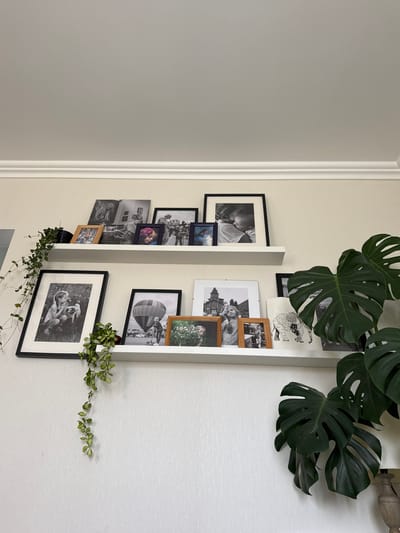 Two white shelves are mounted on a cream-colored wall. The shelves are filled with framed photographs and a potted plant. The top shelf displays various black and white photos, including what appears to be religious figures, a child, and a couple embracing. A small trailing vine is draped over the left side of this shelf. The bottom shelf holds larger framed photos, including a black and white portrait of a young girl with a dog, a hot air balloon, and a framed print of an elephant. A large Monstera plant with dark green leaves is positioned to the right of the bottom shelf, partially obscuring the wall and a wooden lamp base. The room appears to be indoors, with a white ceiling and crown molding above the shelves. There are no people or visible actions in the scene. The location is identified as Zassovskaya, Russia.