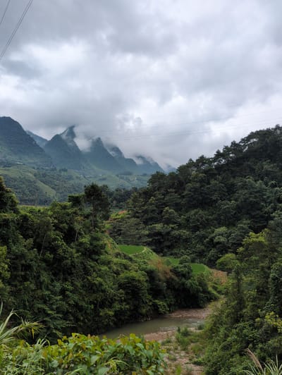 The image depicts a lush, mountainous landscape under an overcast sky. In the foreground, dense green foliage dominates, with a winding, shallow river flowing through the center of the frame, its banks lined with pebbles and sparse vegetation. Further back, the terrain rises sharply, covered in a thick carpet of trees. In the distance, a series of steep, verdant mountains emerge from a shroud of mist, their peaks partially obscured. Small, terraced agricultural fields are visible on the slopes, suggesting human habitation and cultivation. Power lines stretch across the upper portion of the image, hinting at the presence of infrastructure. The scene conveys a sense of remote, natural beauty. This scene is consistent with the topography and vegetation found in Bạch Đích Commune, Vietnam, an area known for its mountainous terrain and terraced rice paddies.